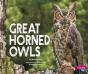 Great Horned Owls - Preview