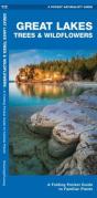 Great Lakes Trees & Wildflowers - Preview