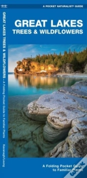 Capa do artigo Great Lakes Trees & Wildflowers