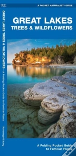 Capa do artigo Great Lakes Trees & Wildflowers