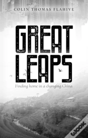 Capa do artigo Great Leaps