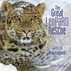 Capa do artigo Great Leopard Rescue