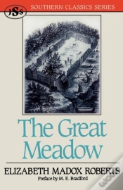 Capa do artigo Great Meadow