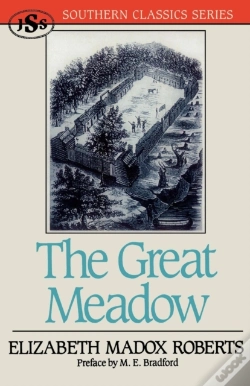 Capa do artigo Great Meadow