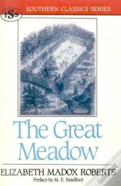 Capa do artigo Great Meadow