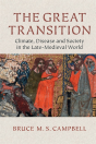 Great Transition - Preview