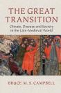 Great Transition - Preview