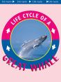 Great Whale - Preview