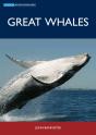 Great Whales - Preview