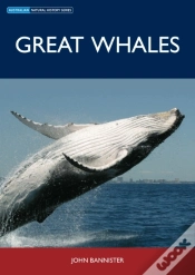 Capa do artigo Great Whales