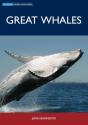 Great Whales - Preview