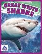 Great White Sharks - Preview