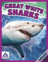 Great White Sharks