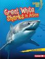 Great White Sharks In Action - Preview