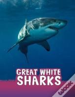 Great White Sharks