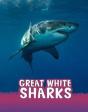 Great White Sharks - Preview