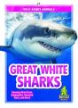 Great White Sharks - Preview