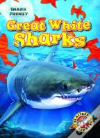 Great White Sharks