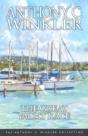 Great Yacht Race - Preview