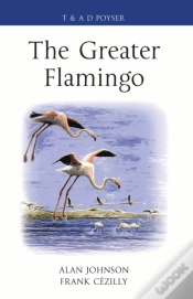 Capa do artigo Greater Flamingo