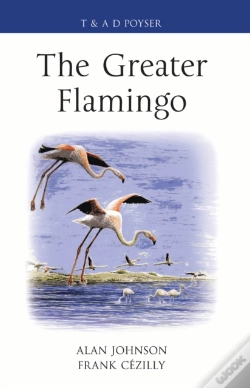 Capa do artigo Greater Flamingo