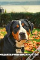 Greater Swiss Mountain Dog