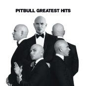 Capa do artigo Greatest Hits - Vinil