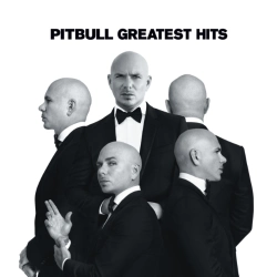 Capa do artigo Greatest Hits - Vinil