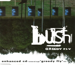 Capa do artigo Greedy Fly - CD