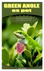 Green Anole As Pet - Preview