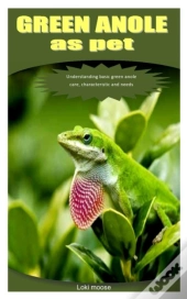 Green Anole As Pet