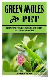 Green Anoles As Pet