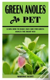Capa do artigo Green Anoles As Pet