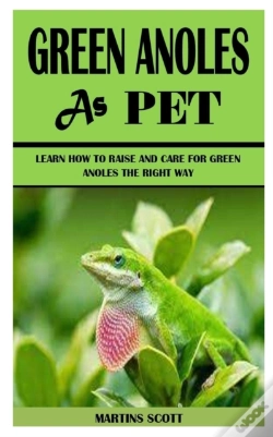 Capa do artigo Green Anoles As Pet