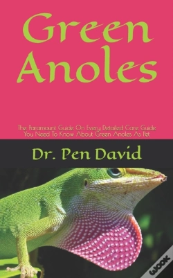 Capa do artigo Green Anoles