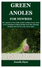 Green Anoles For Newbies - Preview