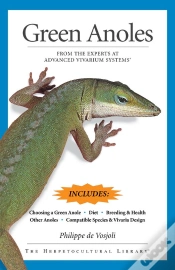 Capa do artigo Green Anoles