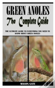 Capa do artigo Green Anoles The Complete Guide