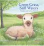 Green Grass & Still Waters - Preview