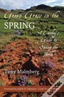 Green Grass In The Spring