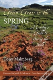 Green Grass In The Spring