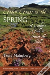 Capa do artigo Green Grass In The Spring