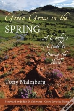 Capa do artigo Green Grass In The Spring