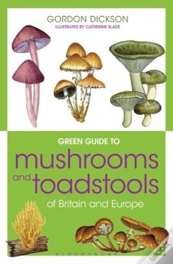 Capa do artigo Green Guide To Mushrooms And Toadstools Of Britain And Europe