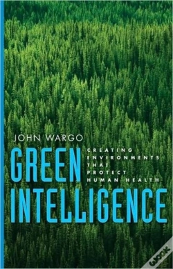 Capa do artigo Green Intelligence