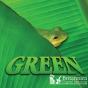 Green - Preview