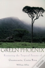 Capa do artigo Green Phoenix