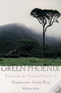 Capa do artigo Green Phoenix