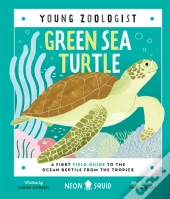 Green Sea Turtle (Young Zoologist)