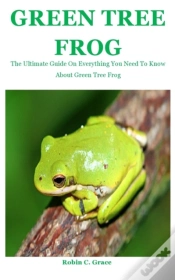 Capa do artigo Green Tree Frog